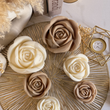 Rosa Bocciolo XL