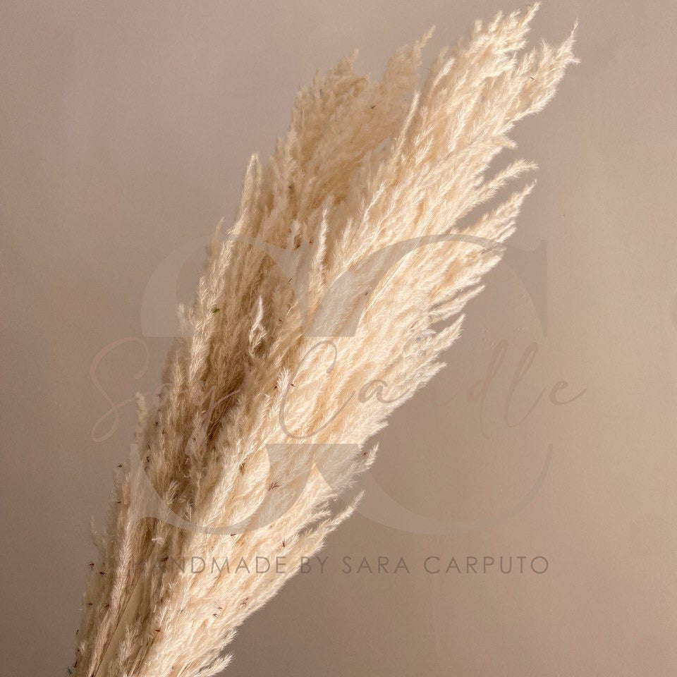 Pampas