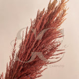 Pampas