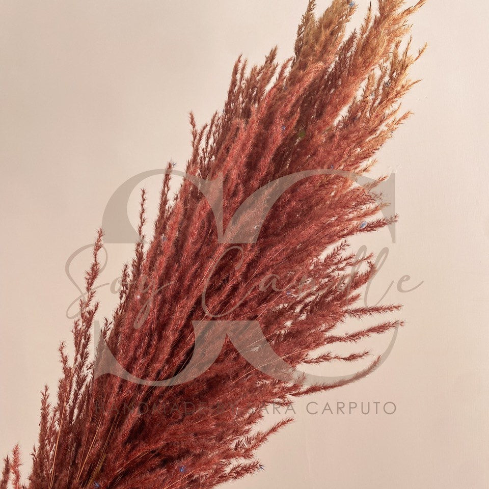 Pampas