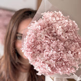 Ortensia vera essiccata