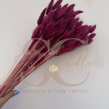 Fiammette 100 gr