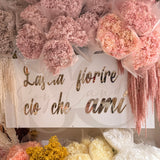 Ortensia vera essiccata