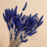 Fiammette 100 gr