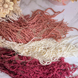 Amaranthus mazzo