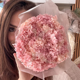 Ortensia vera essiccata