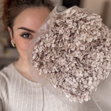 Ortensia vera essiccata