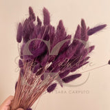 Fiammette 100 gr
