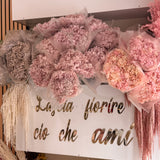 Ortensia vera essiccata