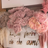 Ortensia vera essiccata