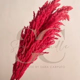 Pampas