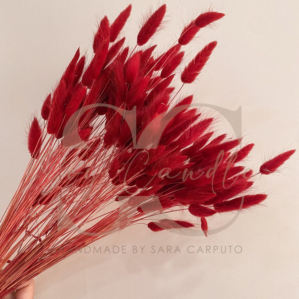 Fiammette 100 gr