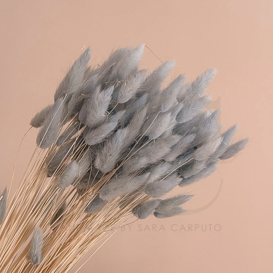 Fiammette 100 gr